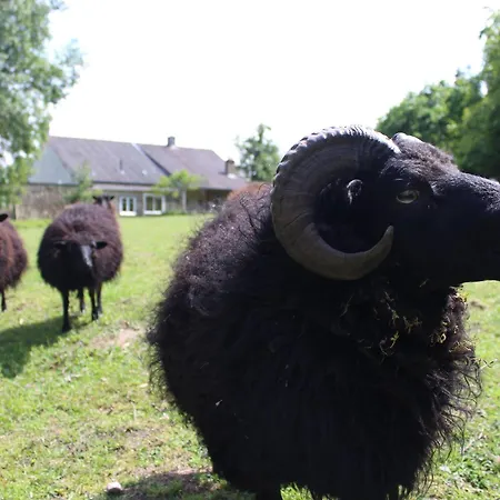 Casa de Férias Près Du Mans : Calme, Confort, Commerces à Proximité, Idéal Pour 2 Pers. - Fr-1-410-273