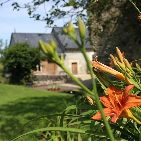 Près Du Mans : Calme, Confort, Commerces à Proximité, Idéal Pour 2 Pers. - Fr-1-410-273 Casa de Férias *