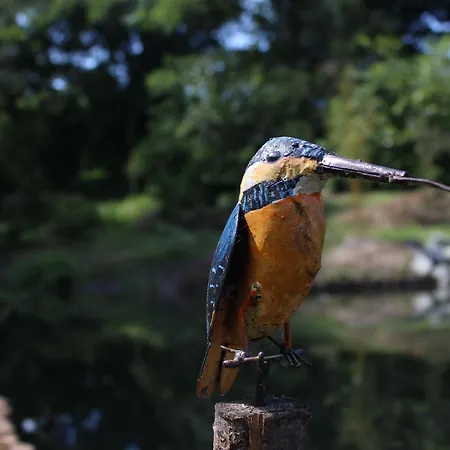 Holiday home Pres Du Mans : Calme, Confort, Commerces A Proximite, Ideal Pour 2 Pers. - Fr-1-410-273