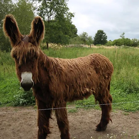Pres Du Mans : Calme, Confort, Commerces A Proximite, Ideal Pour 2 Pers. - Fr-1-410-273 Cerans-Foulletourte