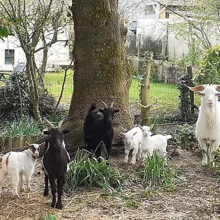 Pres Du Mans : Calme, Confort, Commerces A Proximite, Ideal Pour 2 Pers. - Fr-1-410-273 Holiday home Cerans-Foulletourte