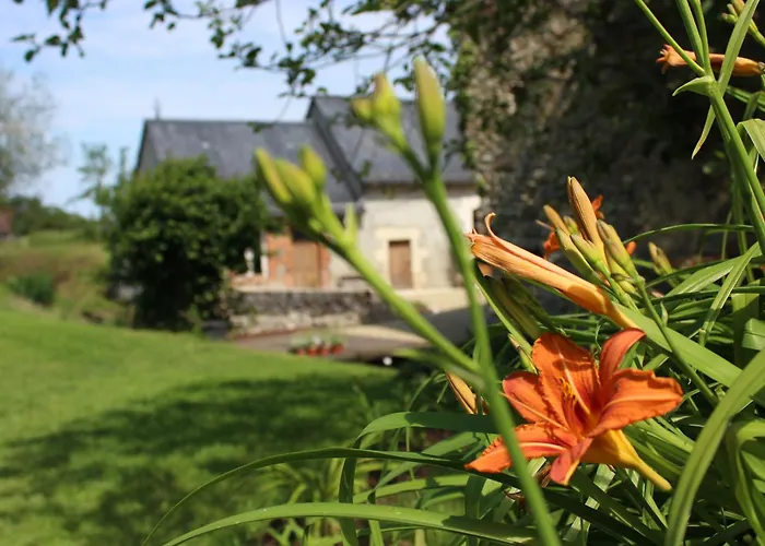 Pres Du Mans : Calme, Confort, Commerces A Proximite, Ideal Pour 2 Pers. - Fr-1-410-273 Semesterbostad *