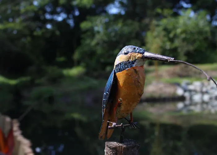 Semesterbostad Pres Du Mans : Calme, Confort, Commerces A Proximite, Ideal Pour 2 Pers. - Fr-1-410-273