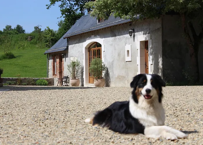 Semesterbostad Pres Du Mans : Calme, Confort, Commerces A Proximite, Ideal Pour 2 Pers. - Fr-1-410-273 Cérans-Foulletourte